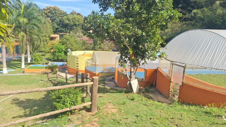 Estruturas de processamento e estufas da Ranamari