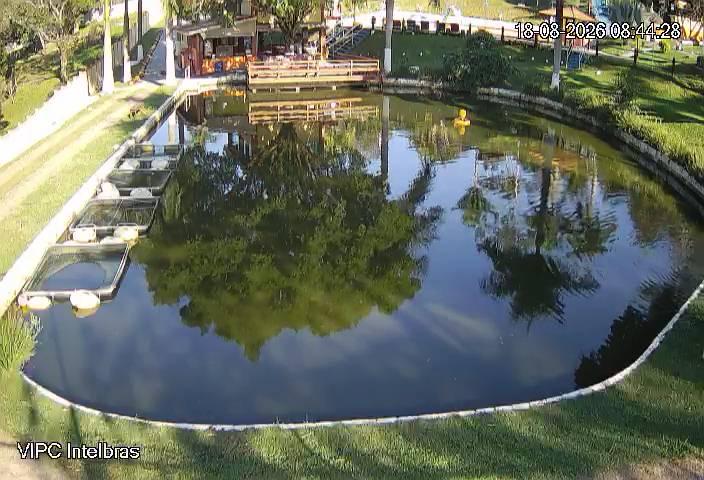 Lago que abastece o ranário