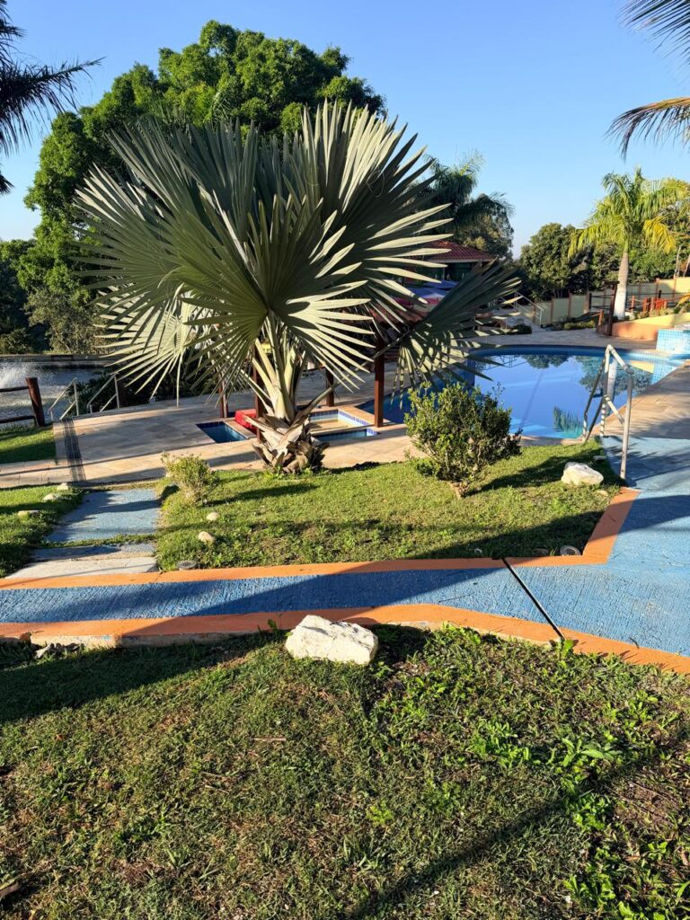 Área de piscina da propriedade