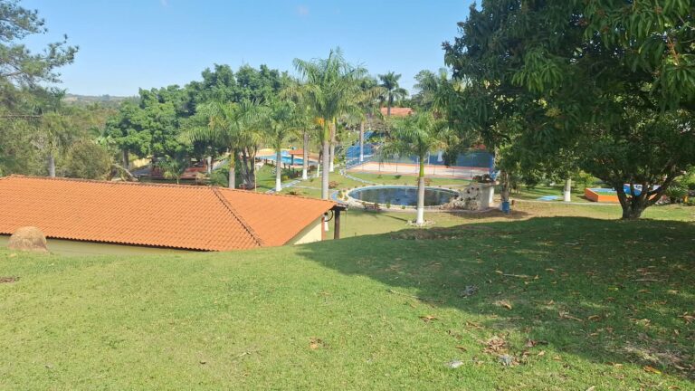 Vista panorâmica da propriedade com palmeiras e lago