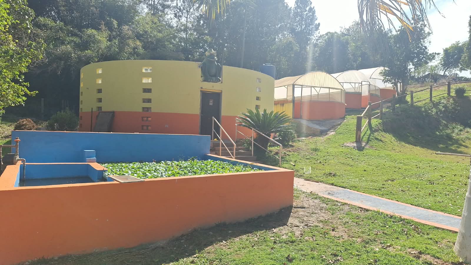 Ranário da Ranamari
